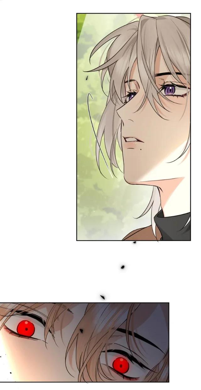 Reclamado por un lobo - Capítulo 13 manhwa