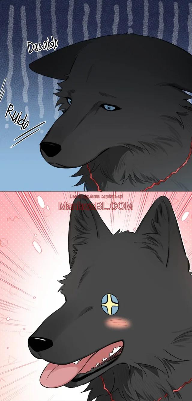 Reclamado por un lobo - Capítulo 18 2 manhwa