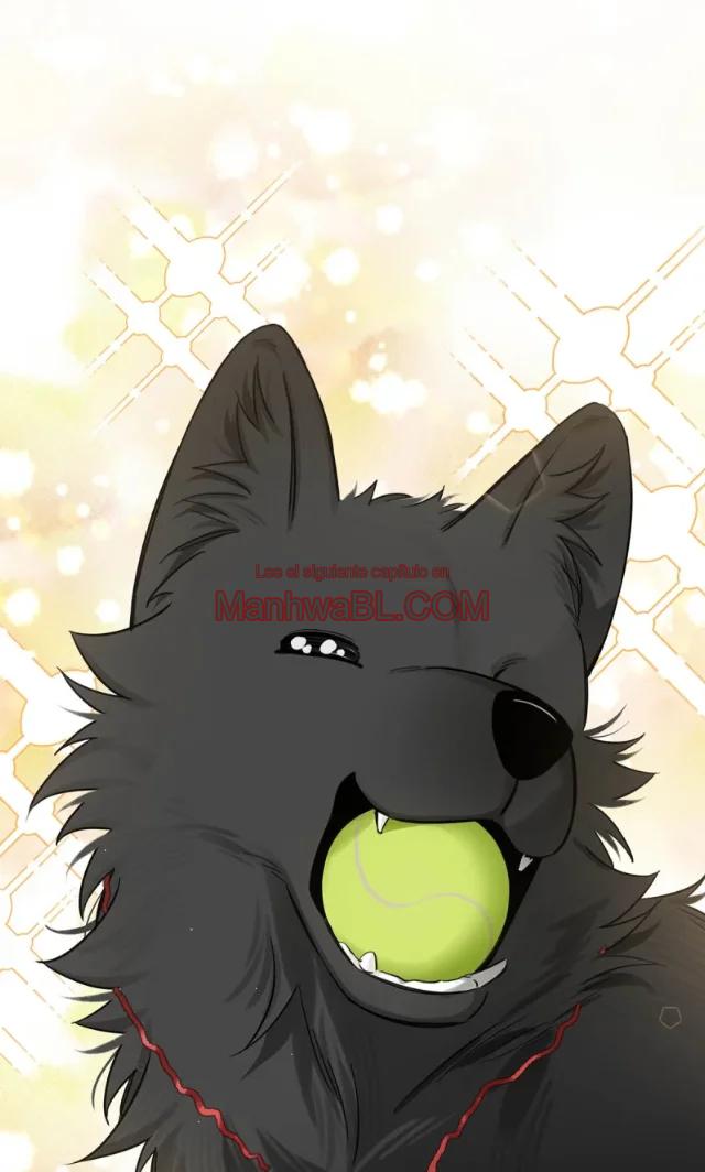 Reclamado por un lobo - Capítulo 18 2 manhwa
