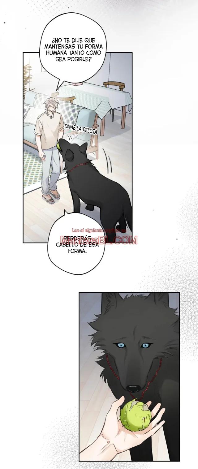 Reclamado por un lobo - Capítulo 18 2 manhwa