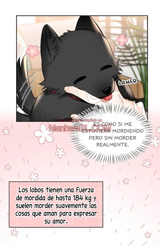 Reclamado por un lobo - Capítulo 23 3 manhwa