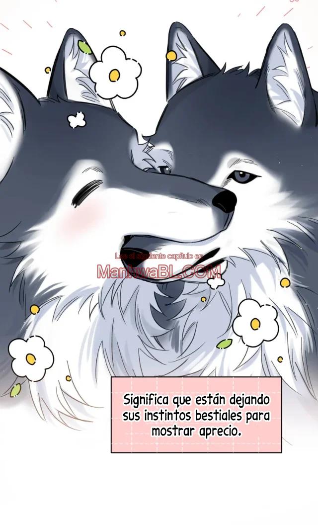 Reclamado por un lobo - Capítulo 23 3 manhwa